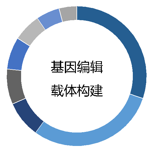 基因编辑载体构建